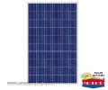Solarni kolektori fotonaponski JS 230W 30P